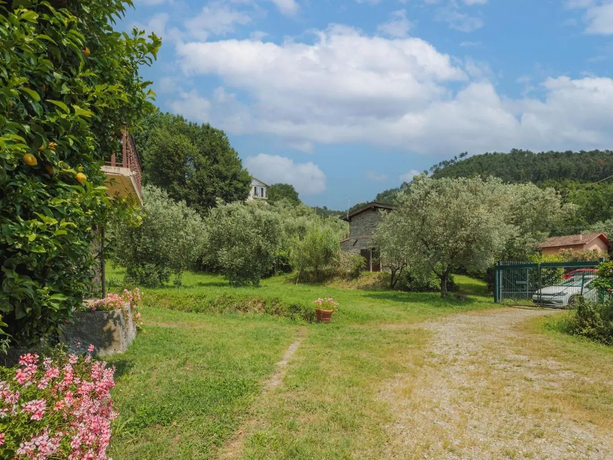 Holiday Home La Ferriera By Interhome Montignoso