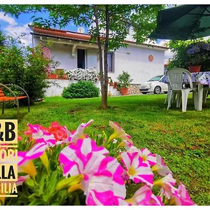 Colori Della Versilia Bed & Breakfast